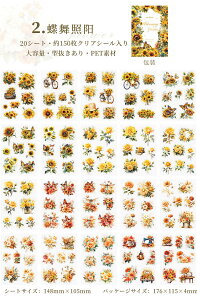 o e Ⴂ150 20V[g ^ NAV[ V[V[g ԕ n [Y KN o @  K[f ԑ u[P G R[Wf V[ _CJbg  PET 