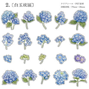 o ԕ NAV[ t[NV[  ԕ R[Wf V[ 2020t[ A KN [Y AWTC  CXg PETf ϐ XebJ[ WNW[i f