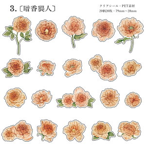 o ԕ NAV[ t[NV[  ԕ R[Wf V[ 2020t[ A KN [Y AWTC  CXg PETf ϐ XebJ[ WNW[i f