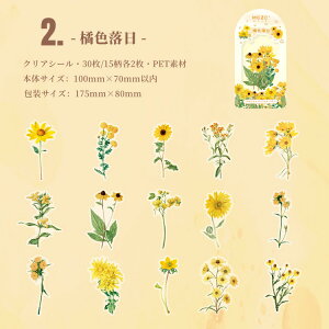 o NAV[ 傫 R[W f t[NV[  ԕ t[ [Y e XebJ[ COV[ V[ _CJbg fR[V PET 蒠V[ WNW[i