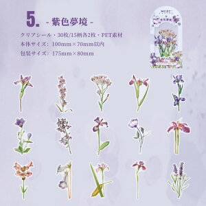 o NAV[ 傫 R[W f t[NV[  ԕ t[ [Y e XebJ[ COV[ V[ _CJbg fR[V PET 蒠V[ WNW[i