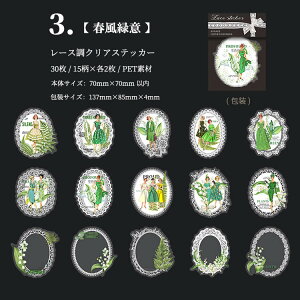 [ lV[ NAV[ [X l O   PETf  ϐ R[W V[ 30 ԕ g t[ XebJ[  zCg CO R[W f XNbvubLO 