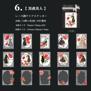 [ lV[ NAV[ [X l O   PETf  ϐ R[W V[ 30 ԕ g t[ XebJ[  zCg CO R[W f XNbvubLO 