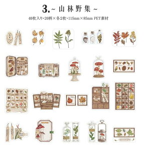 o NAV[ uEn R[W f V[ COXebJ[ PET 蒠fR WNW[i fR[V fRf n A  t[ r {g {I [ C