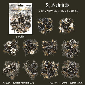 o NAV[ 傫 ؂₩ [Y KN ԑ Ԃт S[h ϐ CXgV[ R[Wf  ԕ ̊ [WTCY R[W o 10 PET ϐ _   