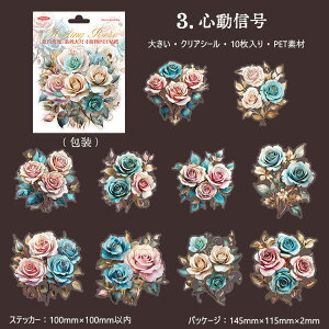 o NAV[ 傫 ؂₩ [Y KN ԑ Ԃт S[h ϐ CXgV[ R[Wf  ԕ ̊ [WTCY R[W o 10 PET ϐ _   