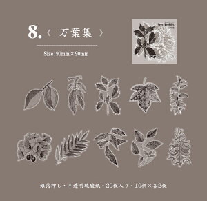 o ┓ gyV[ 傫 KN [Y z AWTC S  e ԕ I_JCE CXgV[ Fh  V[ R[Wf  V[ g[VO