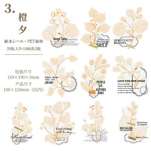 o NAV[ [WTCY 傫 CO R[W f V[  t t PETf 20 XNbvubLO fR[V  V[ H G hC t u