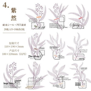 o NAV[ [WTCY 傫 CO R[W f V[  t t PETf 20 XNbvubLO fR[V  V[ H G hC t u