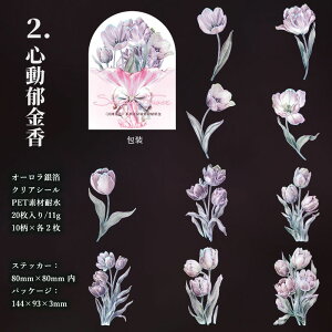 [ I[ 傫  ┓ ԕ V[ R[Wf [Y KN z o   AWTC  S ԕr `[bv _ z NAV[ PET V[ ϐ