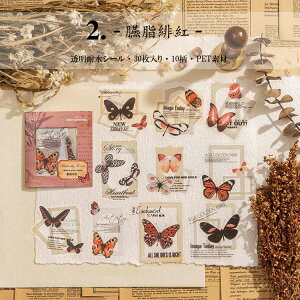 o NAV[ t[NV[ R[W f  p [X t[ g COV[ V[ fR[V o^tC 30 PET ϐ _CJbg V[ WNW[i 