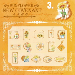 o NAV[ I[  30  XebJ[ 傫 t[NV[  V[ ԕ zCg [X R[W f Zbg PETf ؂₩ XNbvubN f fR