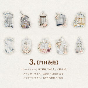 o NAV[  XebJ[ ϐ PETf CO R[W f Zbg hA   g   z ԕ   g [X L  30 R[Wf NA fR V[ 