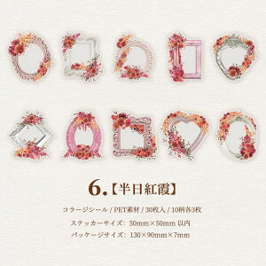 o NAV[  XebJ[ ϐ PETf CO R[W f Zbg hA   g   z ԕ   g [X L  30 R[Wf NA fR V[ 