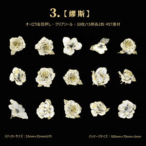 o  R[Wf V[ NAV[ COXebJ[  ԕ PETf ϐV[ t[NV[ R[W f  XebJ[ 3015 KN [Y e  