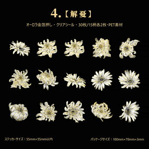 o  R[Wf V[ NAV[ COXebJ[  ԕ PETf ϐV[ t[NV[ R[W f  XebJ[ 3015 KN [Y e  