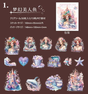 o NAV[ 傫 lP C d  Cn Cm ~ 炰 NQ _I ^ p[  CXg V[ R[Wf V[ 30 PET  ϐ O  l b _