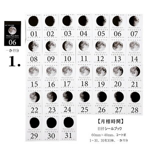 [ t  V[ ubN  T t XebJ[ CO R[W f V[ubN 3131   f `Pbg ؕ p   a  io[ V[ obgW