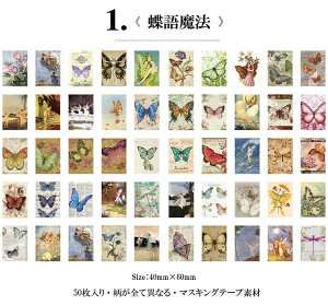 o Be[W XebJ[ V[ubN SႢ 50 fRV[ R[W f Zbg AJ AeB[N V[ fR[V |  f WNW[i