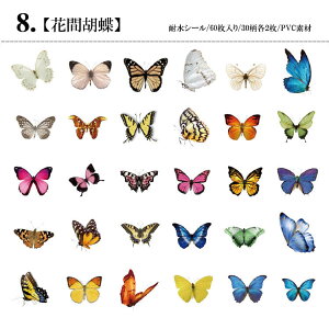 o COXebJ[ 60 NAV[ ϐV[ 30 e XNbvubLO R[W f _CJbg V[ ԕ  H H   mg[ t C`S  KN 