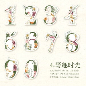 o V[ ԕ XebJ[ tV[  io[ XebJ[ }XeV[ p  t[ t[NV[ 30 XNbvubLO R[W f Zbg COV