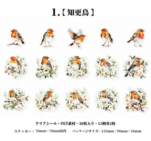 o COXebJ[  ԕ NAV[ R[W f Zbg 30 V[ N₩ XNbvubLO PETf ϐ t~S Mђ  CR IjIInV n`h 