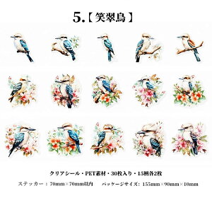 o COXebJ[  ԕ NAV[ R[W f Zbg 30 V[ N₩ XNbvubLO PETf ϐ t~S Mђ  CR IjIInV n`h 