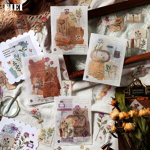 o  t[ V[ COXebJ[ t[NV[ 40 NA PETf WNW[i 蒠fR R[W f fRV[ ϐV[ COV[ fR[V n