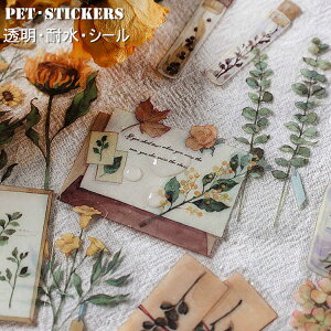 �����o�� �� �t�����[ �����V�[�� �C�O�X�e�b�J�[ �t���[�N�V�[�� 40�� �N���A PET�f�� �W�����N�W���[�i�� �蒠�f�R �R���[�W�� �f�� �f�R�V�[�� �ϐ��V�[�� �C�O�V�[�� �f�R���[�V���� �n��