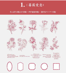 o COXebJ[  [Y KN t V[ 40 R[W f t[NV[ Zbg NAV[ PET WNW[i 蒠 fR fR[V A t[ 