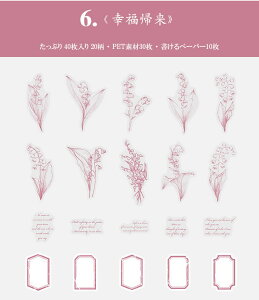 o COXebJ[  [Y KN t V[ 40 R[W f t[NV[ Zbg NAV[ PET WNW[i 蒠 fR fR[V A t[ 