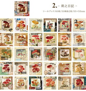 o COV[ V[ubN 60 R[W f fR[Vf COXebJ[ 蒠fR t[NV[ g 킢 Ins   Vg d p g  X^v G