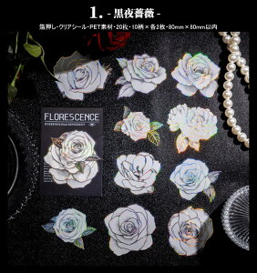 o I[ Ԃт 傫 ؂₩ PET ϐ V[ i R[Wf [Y KN O  S z [WTCY NAV[ R[W f 20 V[ ϐ A