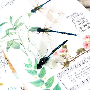 o COV[  g{   t[NV[ _CJbg  ϐ V[ COXebJ[ 30 NA V[ PETf R[W f WNW[i 蒠fR fR[V