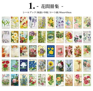 o V[ubN Ⴂ50 CO R[W f }XLOe[vf fR V[ }XeV[ fR[V g AeB[N z F  p p `Pbg s ԕ