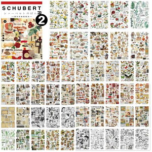 [ V[ubN 50/ Ⴂ1000ȏ e ȃXy[X 傫 }Xe XebJ[ubN 50 V[V[g R[Wf lV[ G G  O l  j a