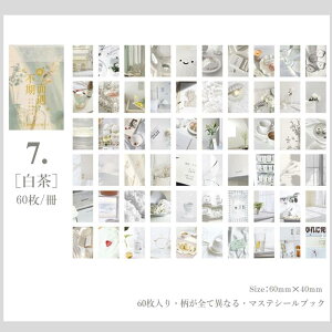 即日出荷 海外シール 60枚綴り ミニシールブック マスキングテープ素材 和紙 半透明 海外ステッカー 手帳デコ マステ コラージュ 素材 レトロ ラッピング 携帯 飾り カラー別 植物 風景 写真