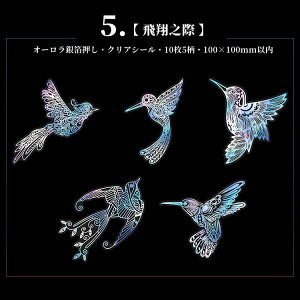 o I[XebJ[ NAV[ R[W f 傫 [X l  H H   @w   ͗l  V[ I[ V[ 10 PETf | nh