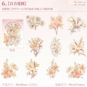 o  ؂₩ 傫 NAV[ R[W f V[ [Y KN o ԕ ԑ COXebJ[ PET  ϐ S  `[bv e AWTC R[WV[ A