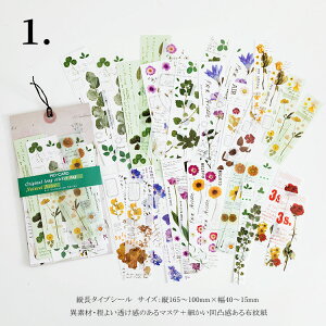 o c Be[W XebJ[ 2ގ 傫 V[V[g 蒠 fR R[W f WNW[i re[W g W[i `Pbg p p a g  