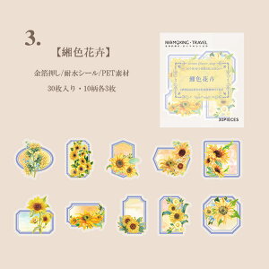 o NAV[  COXebJ[ ؂₩ t[NV[  R[W f Zbg NA XebJ[ XNbvubLO 蒠 V[ PETf KN [Y  e W