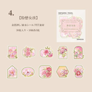 o NAV[  COXebJ[ ؂₩ t[NV[  R[W f Zbg NA XebJ[ XNbvubLO 蒠 V[ PETf KN [Y  e W