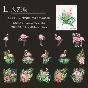 o COXebJ[  ԕ NAV[ R[W f Zbg 30 V[ N₩ XNbvubLO PETf ϐ t~S Mђ  CR IjIInV n`h 