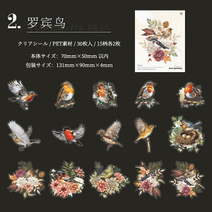 o COXebJ[  ԕ NAV[ R[W f Zbg 30 V[ N₩ XNbvubLO PETf ϐ t~S Mђ  CR IjIInV n`h 