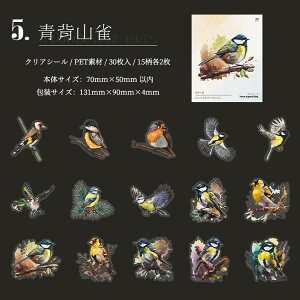 o COXebJ[  ԕ NAV[ R[W f Zbg 30 V[ N₩ XNbvubLO PETf ϐ t~S Mђ  CR IjIInV n`h 