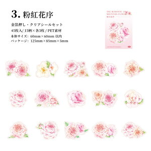 o  COXebJ[ 傫 t[NV[ ԕ NAV[ CO R[W f Zbg  V[ 45 PET ϐ WNW[i XNbvubLO F 