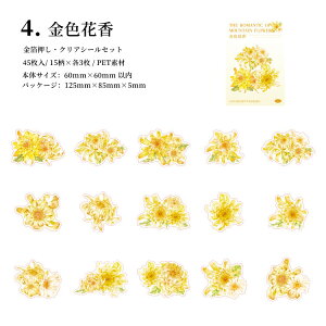 o  COXebJ[ 傫 t[NV[ ԕ NAV[ CO R[W f Zbg  V[ 45 PET ϐ WNW[i XNbvubLO F 