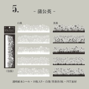 o NAXebJ[   t[NV[ NAV[ 傫  t[ COXebJ[ V[ COXebJ[ R[W f COV[ PET ϐ WNW[i f