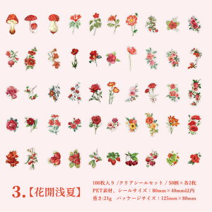o 100 NAV[ KN [Y z AWTC Ђ܂ t  ԕ e t[ A ϐ t[NV[ R[Wf ϐV[ WNW[i fR[V