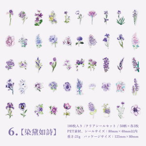 o 100 NAV[ KN [Y z AWTC Ђ܂ t  ԕ e t[ A ϐ t[NV[ R[Wf ϐV[ WNW[i fR[V